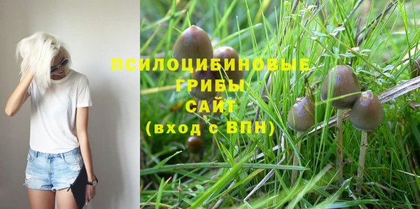 не бодяженный Арсеньев