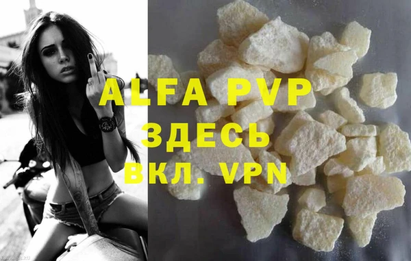 крисы Алзамай